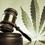 cannabis legalisierung